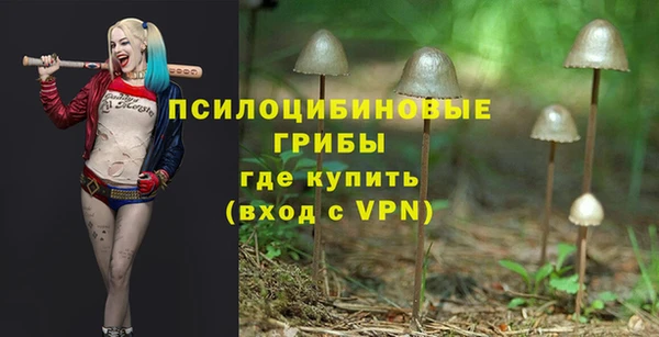 каннабис Няндома
