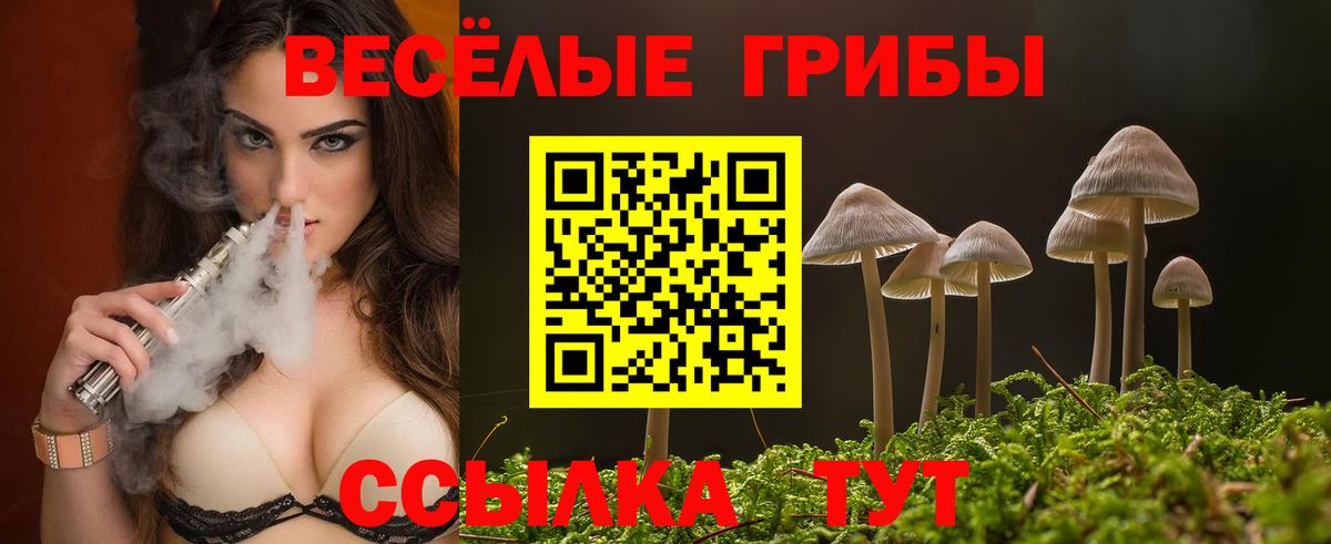 Псилоцибиновые грибы мухоморы Амурск