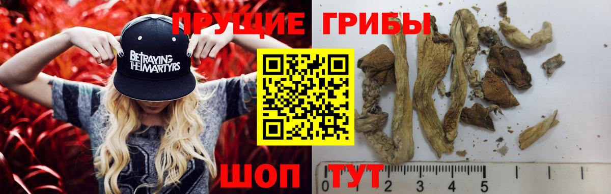 Амурск  Галлюциногенные грибы Psilocybine cubensis  наркота  Вход с VPN 