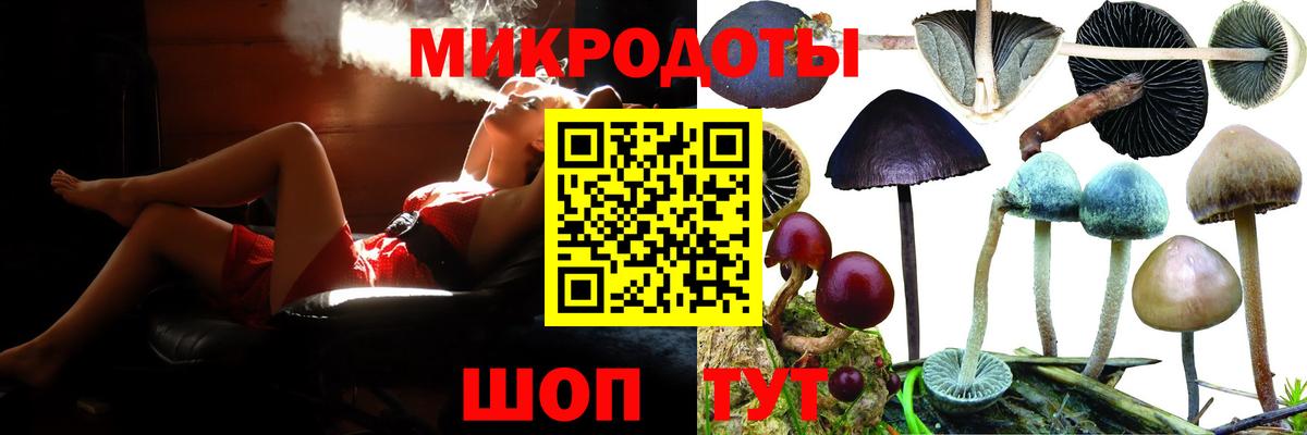 Псилоцибиновые грибы Psilocybe Амурск